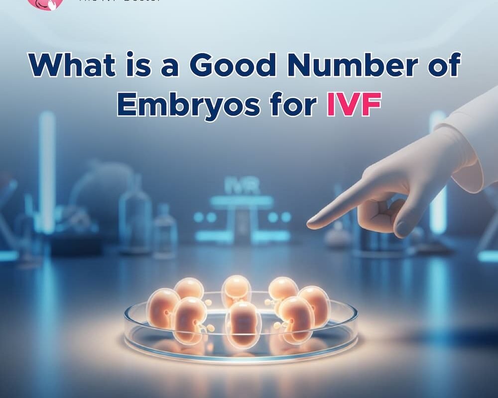 What Is a Good Number of Embryos for IVF