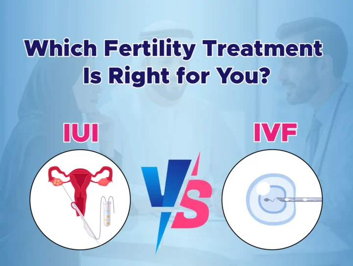 Difference Between IUI and IVF